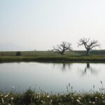 איתותים חכמים בזמן