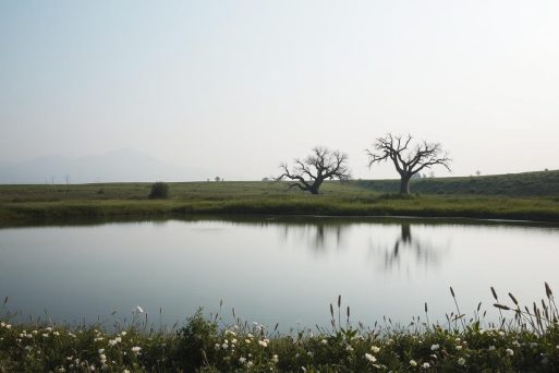 איתותים חכמים בזמן